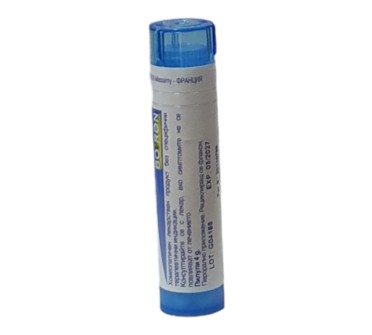 MAGNESIA PHOSPHORICA 9 CH